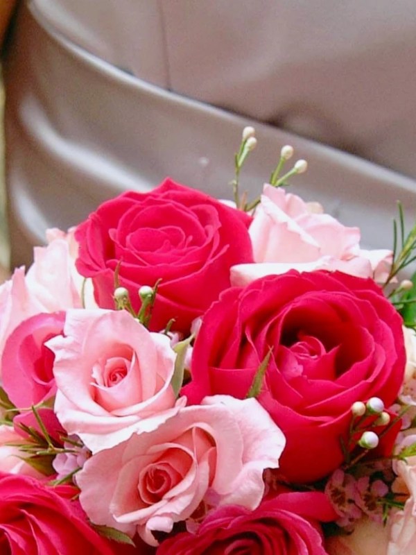 Would 10000000% Recommend Meadow Gardens And Kayla For Any&nbsp;Event.