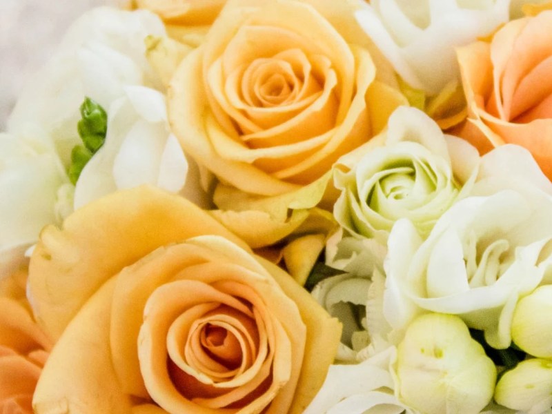 Thanks To Kayla, Our Incredible Event&nbsp;Coordinator